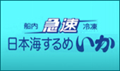 日本海するめいか